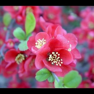 Meet your Posher, Hill